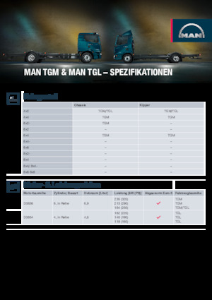 Твърдо шаси MAN TGL 12.250