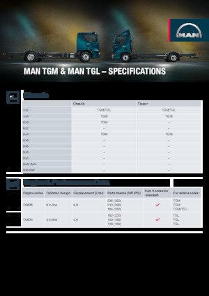 Твърдо шаси MAN TGL 12.250