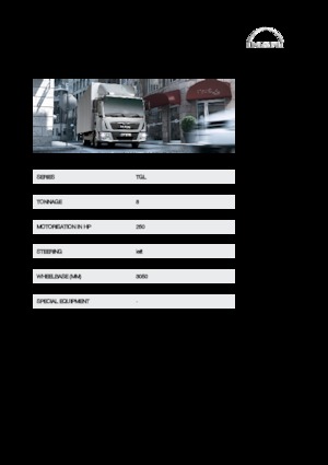 Твърдо шаси MAN TGL 8.250 4x2