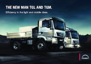 Твърдо шаси MAN TGL 12.250 4x2