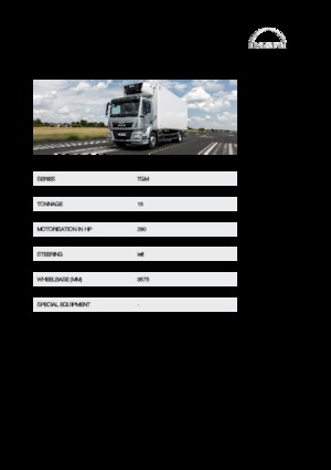 Твърдо шаси MAN TGM 15.290 4x2