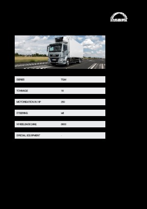 Твърдо шаси MAN TGM 18.250 4x4