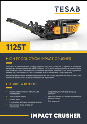 Инсталации (заводи) за рециклиране на чакъл Tesab 1125T