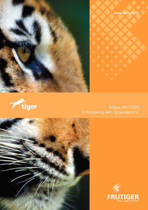 Скрепери (грейдери) Frutiger SR 3000 Tiger