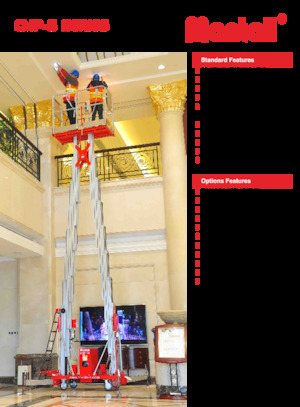 Подемници с единична вертикална мачта Mantall CMP14-S