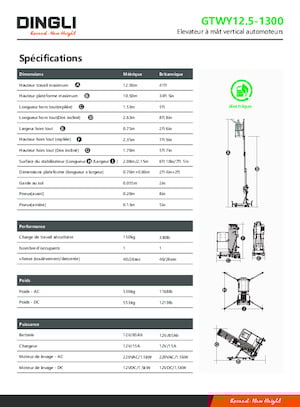 Подемници с единична вертикална мачта Dingli GTWY12.5-1300