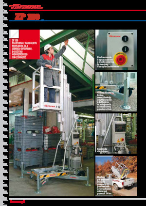 Подемници с единична вертикална мачта Faraone ZP 10-150 I