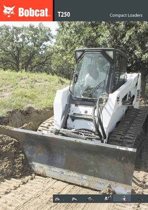 Челни товарачи Bobcat T 250 ACS