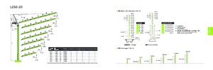 Кулокран - товароподемна накланяща се стрела - горно въртене Zoomlion L250-20
