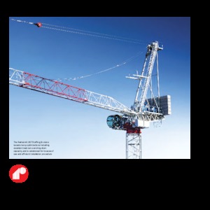 Кулокран - товароподемна накланяща се стрела - горно въртене Raimondi LR273