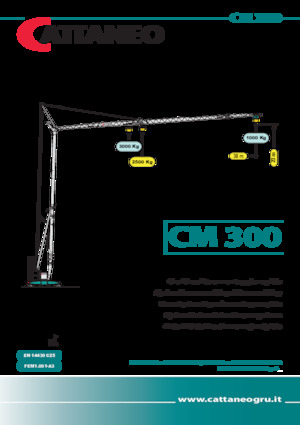 Кулокран - тролейна стрела - долно въртене Cattaneo CM 300