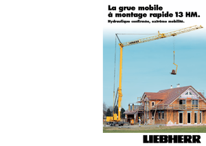 Кулокран - тролейна стрела - долно въртене Liebherr 13 HM