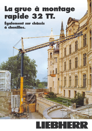 Кулокран - тролейна стрела - долно въртене Liebherr 32 TT - 2,5-FU