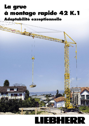 Кулокран - тролейна стрела - долно въртене Liebherr 42 K.1 (FU)