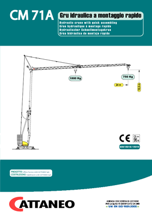 Кулокран - тролейна стрела - долно въртене Cattaneo CM 71A
