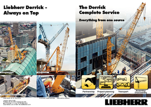 Кулокран - тролейна стрела - горно въртене Liebherr 200 DR 5/10 Litronic