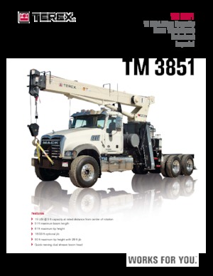 Кранове с камион TEREX CRANES TM 3851