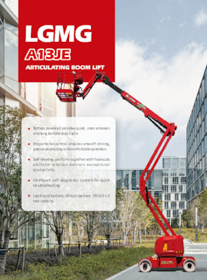 Колесни повдигачи с подвижна стрела LGMG  A13JE-LI