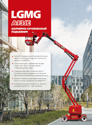 Колесни повдигачи с подвижна стрела LGMG  A13JE-LI