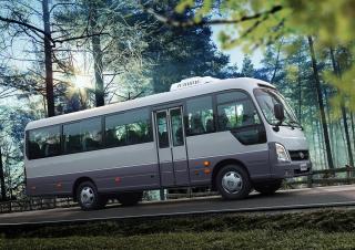 Автобуси Автобуси за туристически автобуси Hyundai Commercial Vehicles COUNTY New Breeze