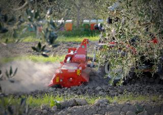 Електрически брани Maschio W 145