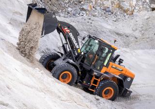Колесни товарачи Doosan DL250-7