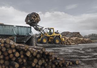Колесни товарачи Volvo L70H