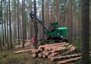 Горска техника Колесни харвестъри Neuson Forest 103HVT