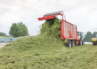 Къси ремаркета за силаж Pöttinger Jumbo 6020 L