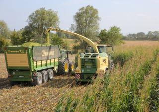 Къси ремаркета за силаж Krone TX 460 