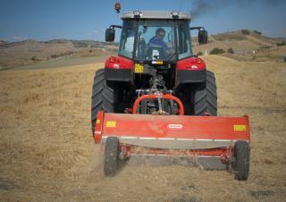 Мулчери Maschio Chiara 230 F