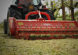 Мулчери Maschio Tigre 250