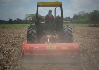 Мулчери Maschio Tornado 250