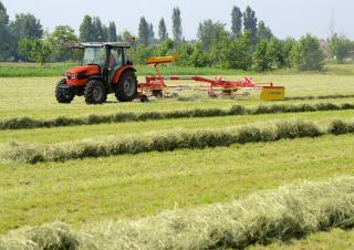 Превозни средства Общински трактори DEUTZ-FAHR Agrokid 230 B 