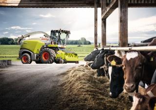 Принадлежности/приставки за комбайни Pick up Claas Pick Up 300  