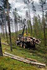 Горска техника Спедитори Ponsse Elephant