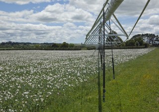 Напоителна технология Стрели за пръскачки Bauer Irrigation Centerstar 133EL