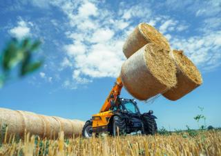 Телескопични манипулатори на материали Dieci Agri Farmer 28.7 GD