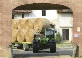 Телескопични манипулатори на материали Merlo TF 50.8 T-120