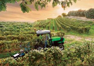 Трактори 4WD (задвиждане на четирите колела) DEUTZ-FAHR Agroplus F 320