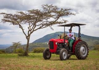 Трактори 4WD (задвиждане на четирите колела) Massey Ferguson MF 35