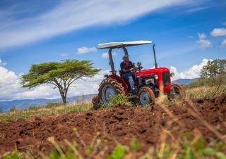 Трактори 4WD (задвиждане на четирите колела) Massey Ferguson MF 35