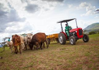 Трактори 4WD (задвиждане на четирите колела) Massey Ferguson MF 35