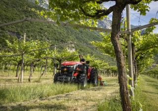 Трактори 4WD (задвиждане на четирите колела) Massey Ferguson MF 3GE.105 