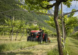 Трактори 4WD (задвиждане на четирите колела) Massey Ferguson MF 3GE.85 