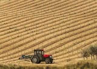 Трактори 4WD (задвиждане на четирите колела) Case IH Quantum 80 CL
