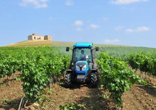 Трактори 4WD (задвиждане на четирите колела) Landini Rex DT 4-080F