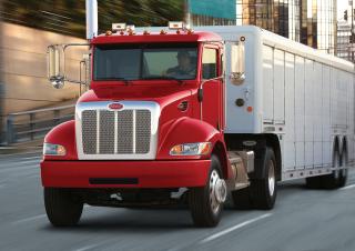 Камиони Твърдо шаси Peterbilt 337 PACCAR PX-9