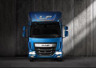Камиони Твърдо шаси DAF LF 290 FA 19t