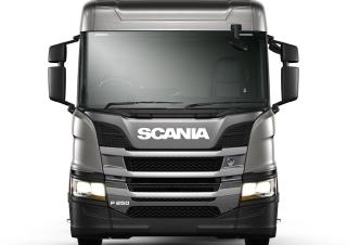 Камиони Твърдо шаси Scania P 250 B4x2NA